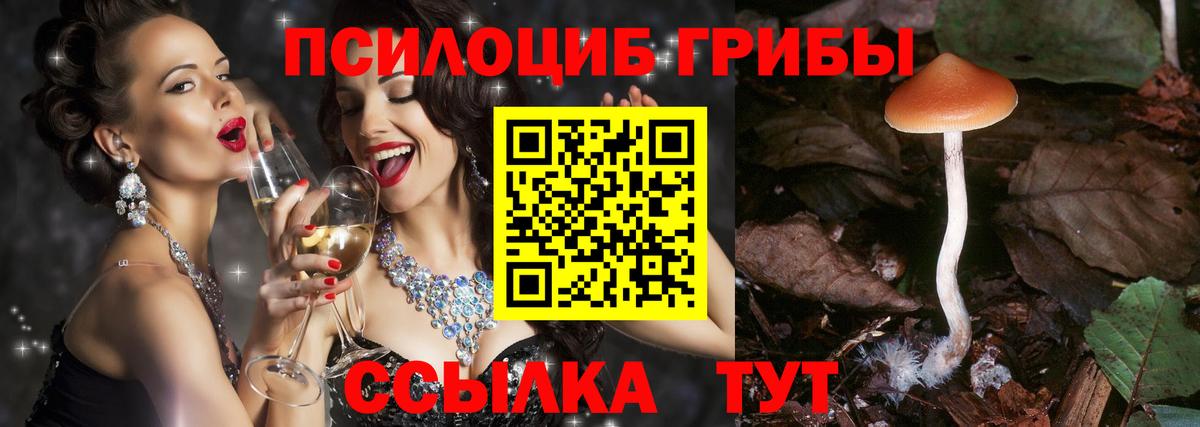 Галлюциногенные грибы MAGIC MUSHROOMS  Галлюциногенные грибы мицелий  Улан-Удэ  Вход с VPN 